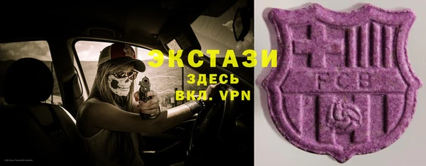 соль ск Богородицк