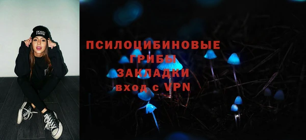 соль ск Богородицк