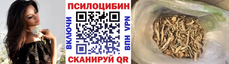 Купить закладки  Краснослободск  Галлюциногенные грибы GOLDEN TEACHER 